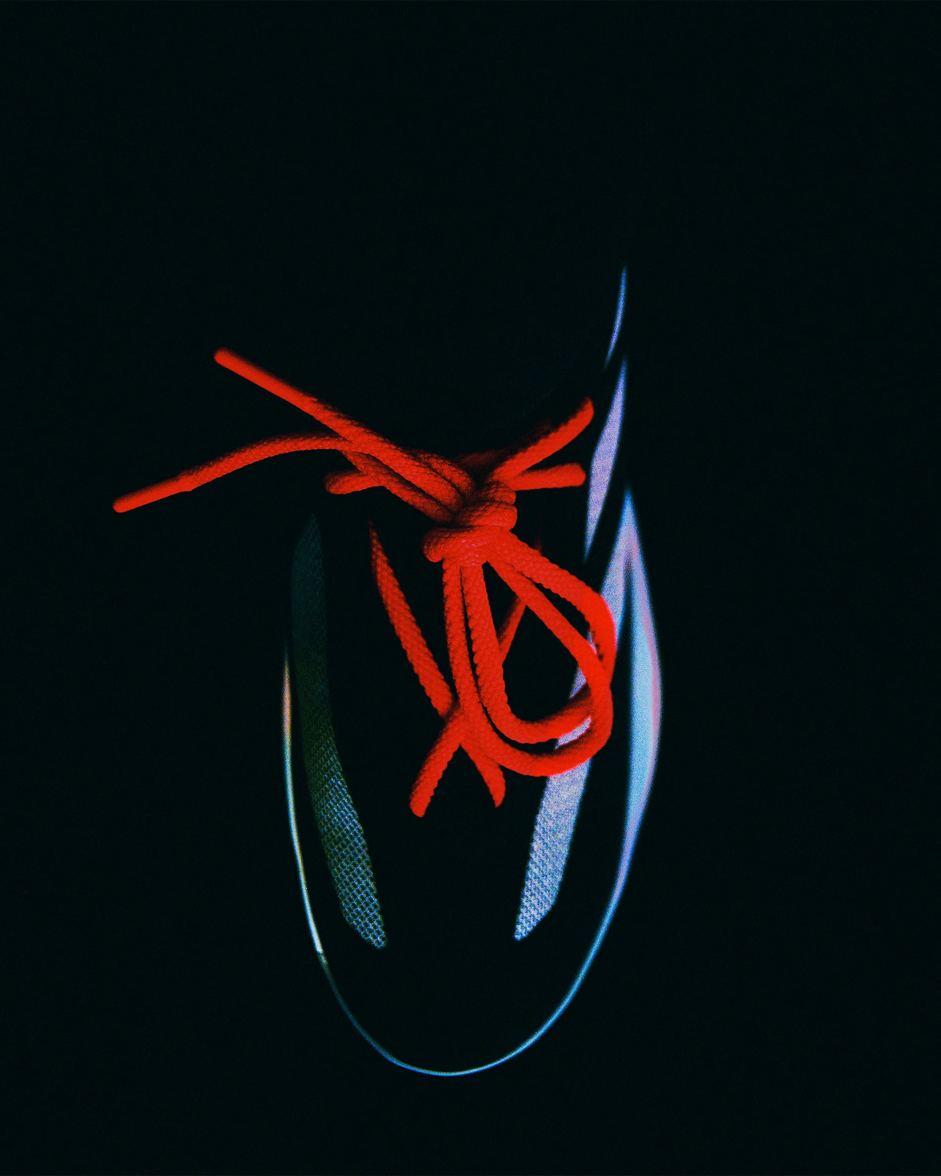 Derrick Rose II Basketball - Image 8