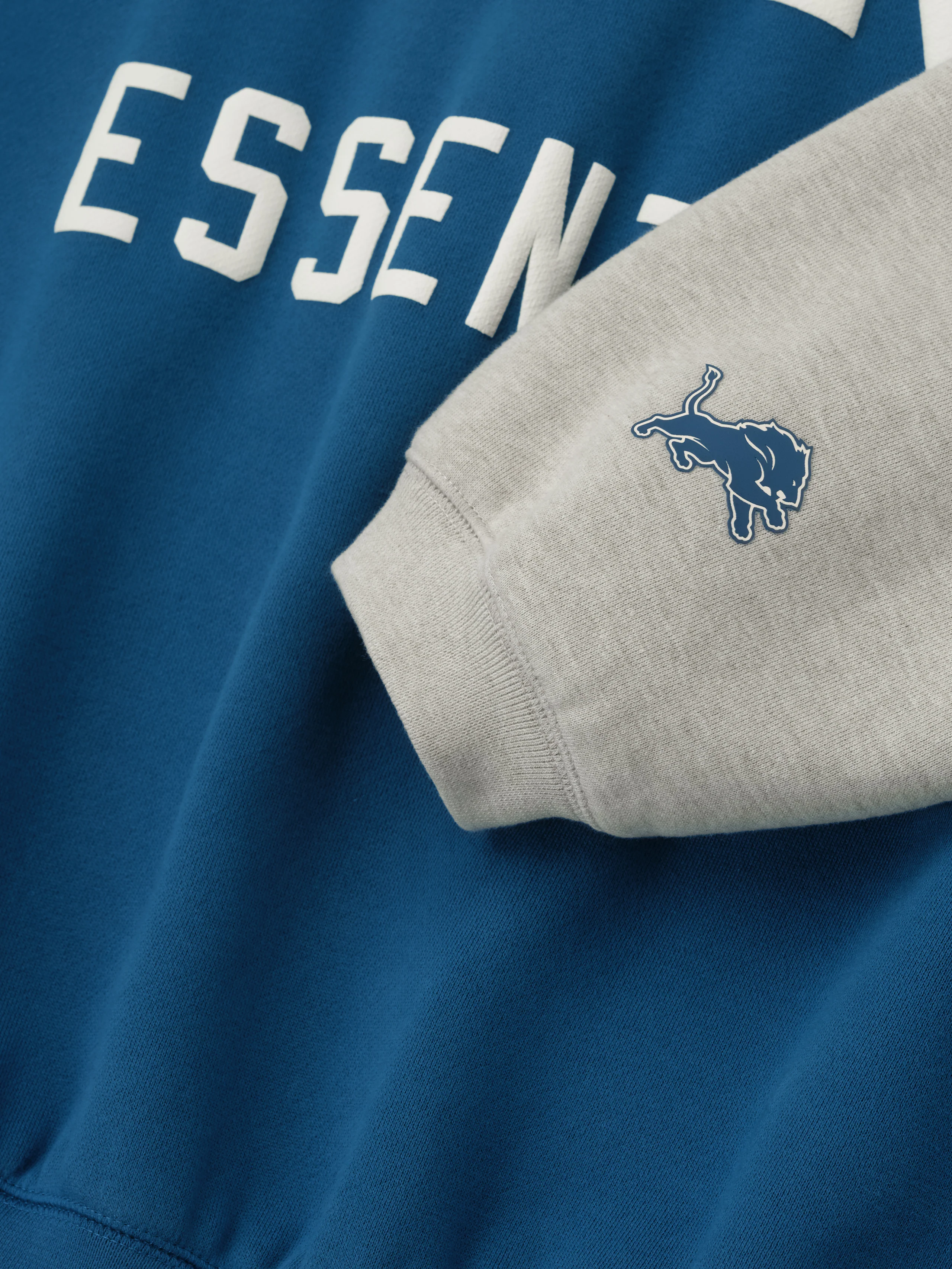 Lions Sport Hoodie - Image 4