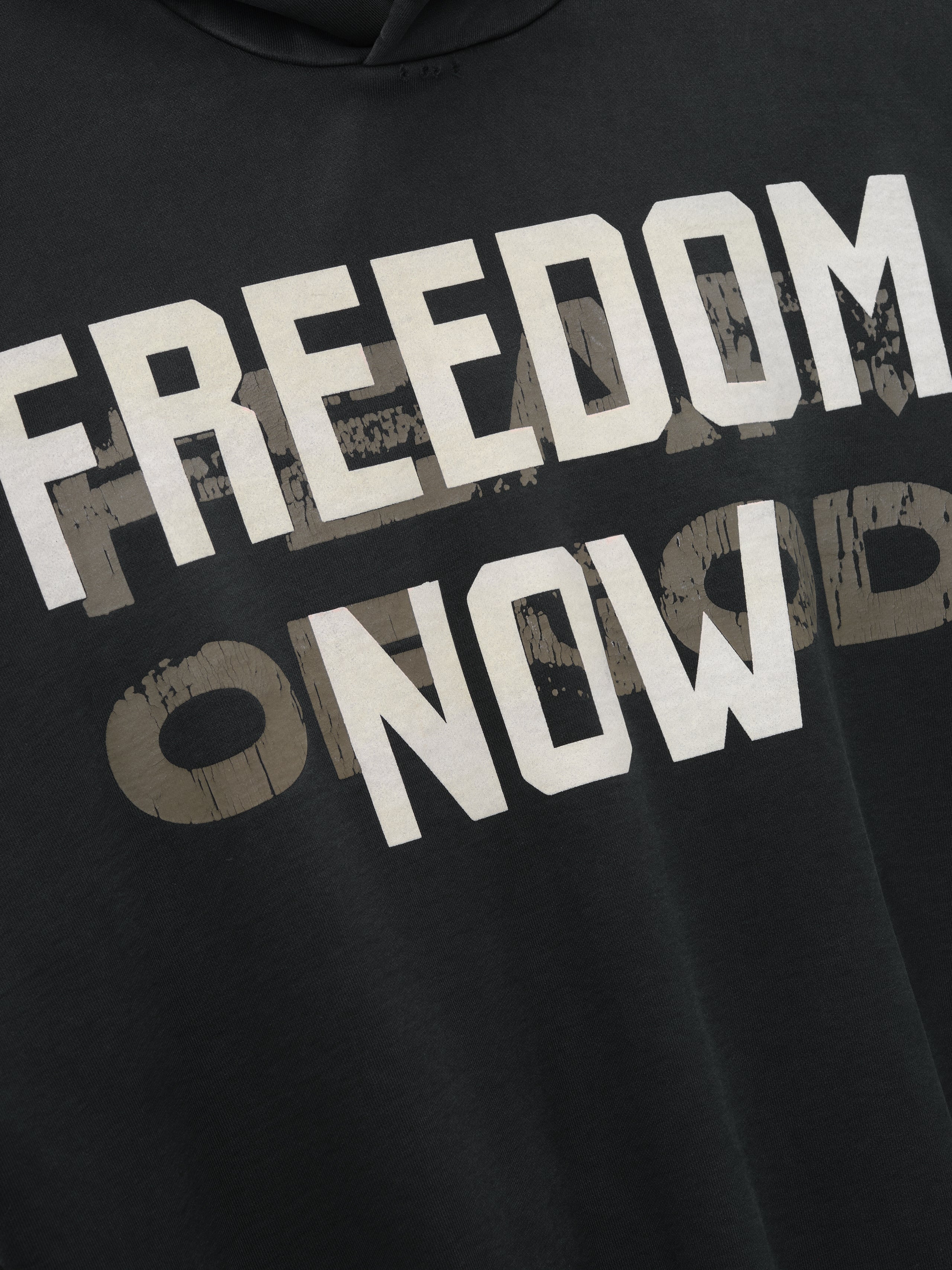 Freedom Now Hoodie - Image 3